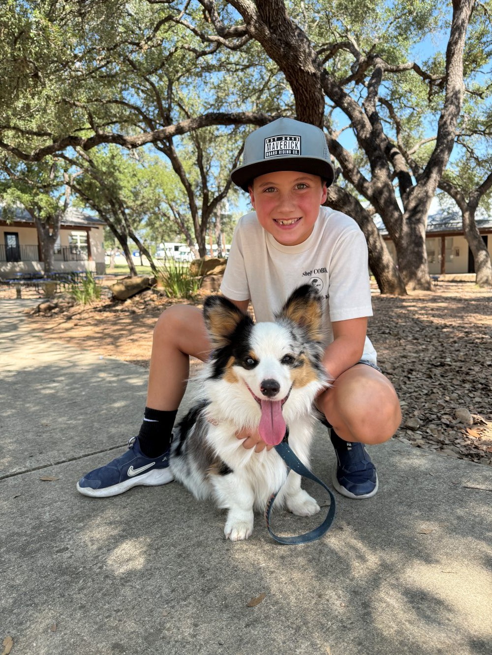Mitchell the dog