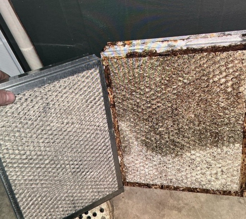 Technician Holding a Clean and Dirty Hum Pad Side-By-Side