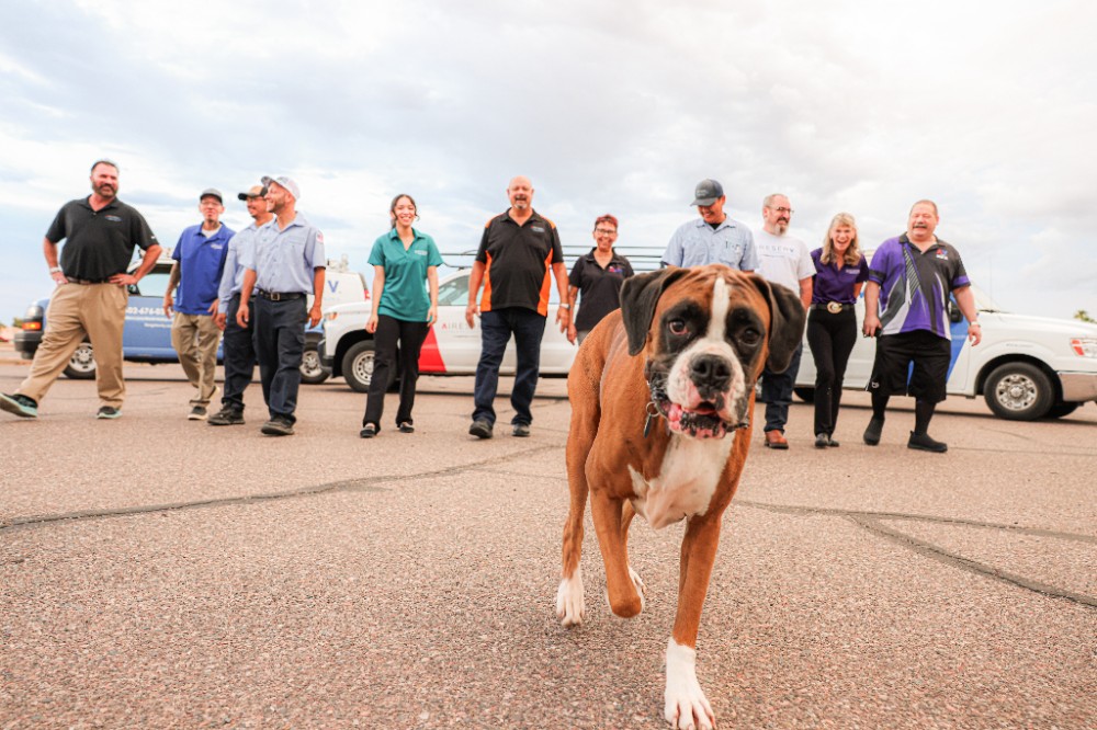 Aire Serv team members walking forward towards the camera with a dog front and center, and Aire Serv trucks and vans in the background