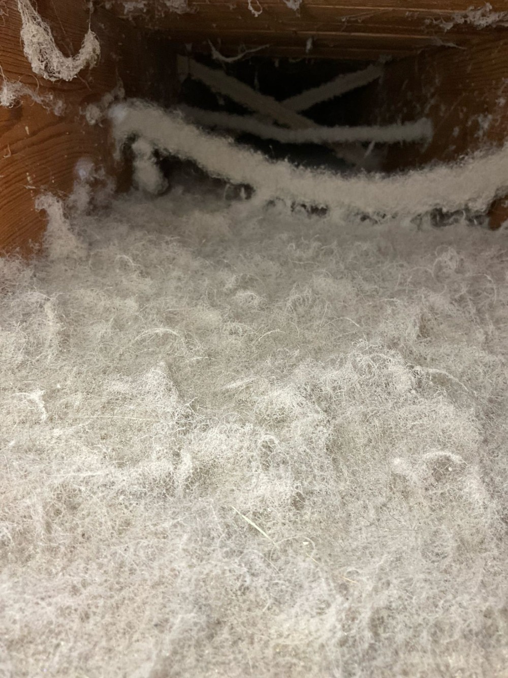 HVAC ductwork with heavy accumulation of dust, debris, and pet dander build up