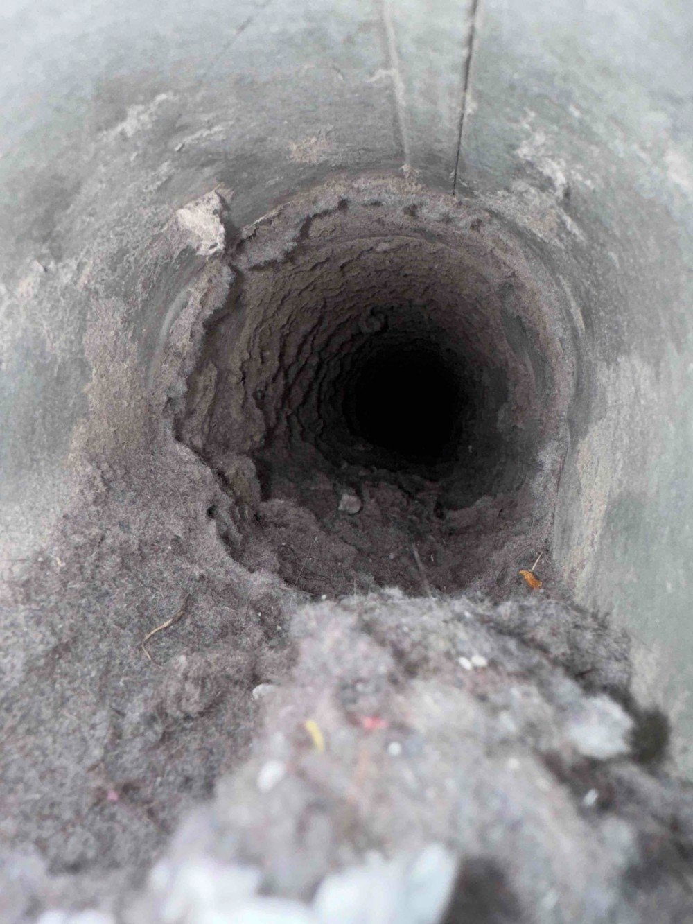 dirty dryer vent