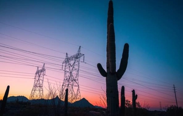 saguaro cactus and powerline silhouettes before sunrise