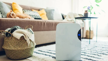 A dehumidifier is shown in a modern living room in front of a couch and end table.