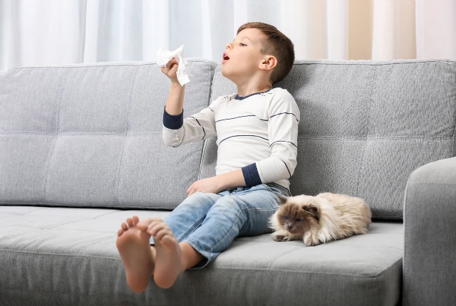 Little boy on couch looking at tissue
