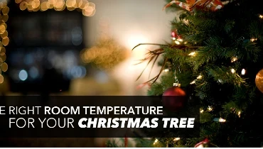 Christmas tree with text: "The right room temperature for your Christmas tree"