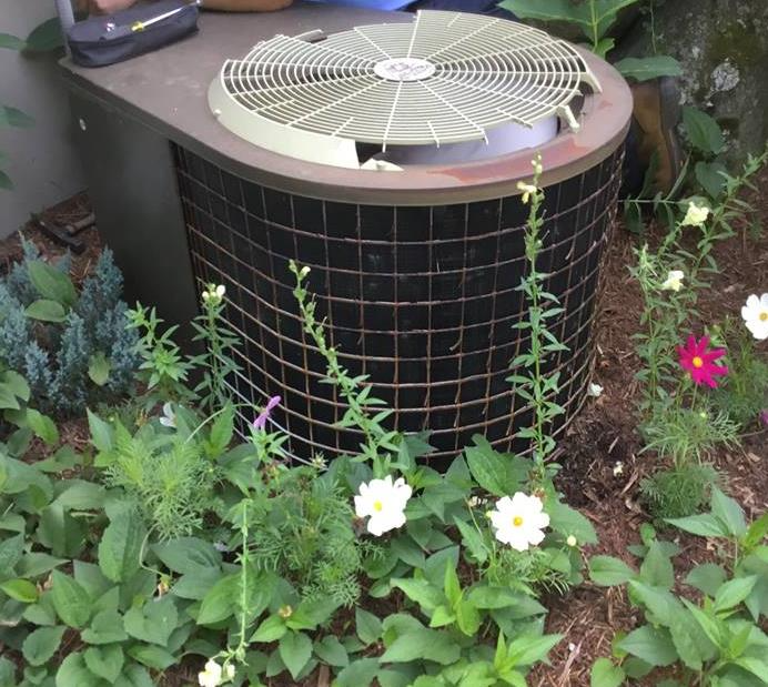 air conditioning unit outside surrounded by plants
