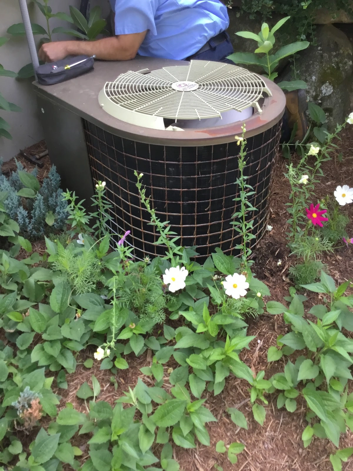 air conditioning unit surrounded by plants