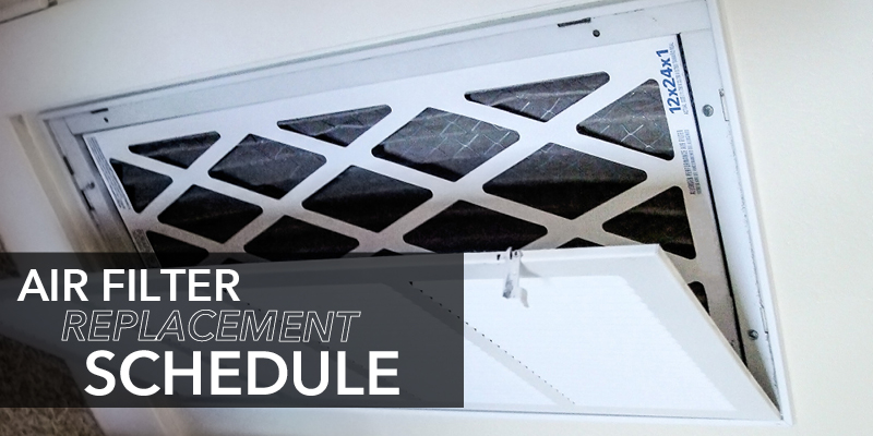 Air filter replacement schedule