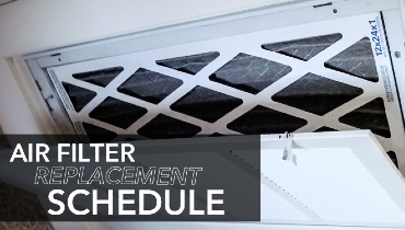 Air Filter Replacement Schedule