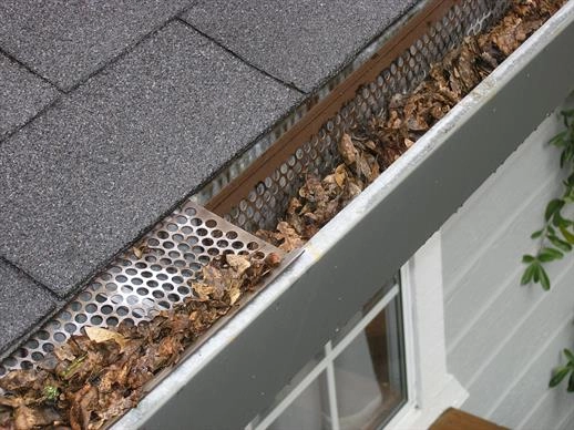 Rain gutters filled with leaves