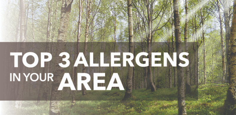 Forrest with text: Top 3 allergens in your area