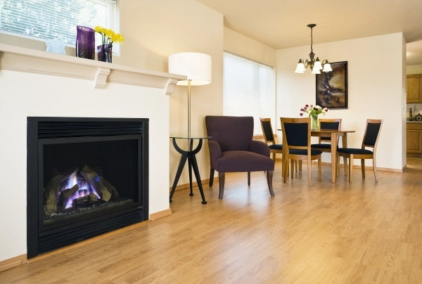 Gas fireplace in a spacious living room with hardwood floors