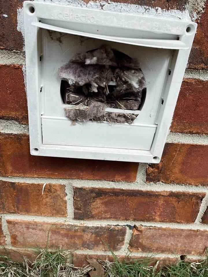 Dryer vent on the outside of a house