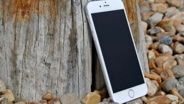 iPhone leaning against stump on pebbles
