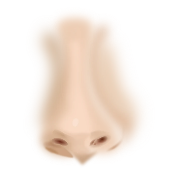 Cartoon nose 