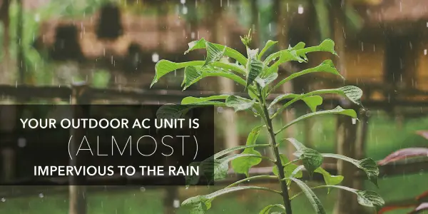 Plant in the rain with text: "Your outdoor AC unit is (almost) impervious to the rain"