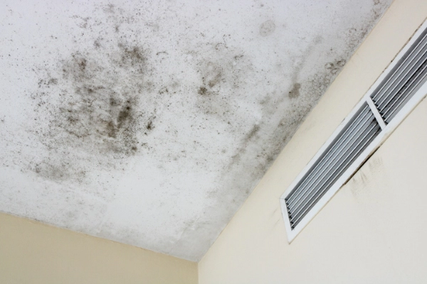 Mold on the ceiling in an apartment | Aire Serv of Birmingham
