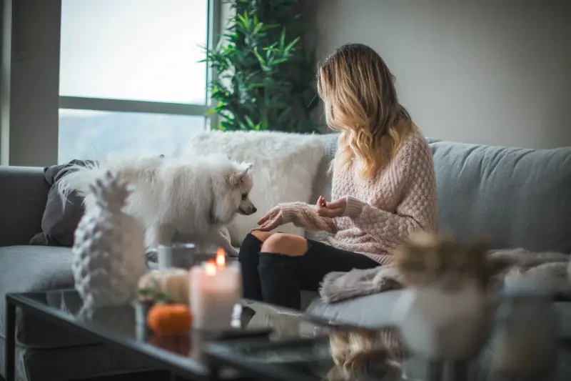 Dog on couch with woman.